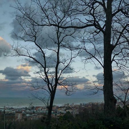 Ginko Apartment Pesaro Bagian luar foto