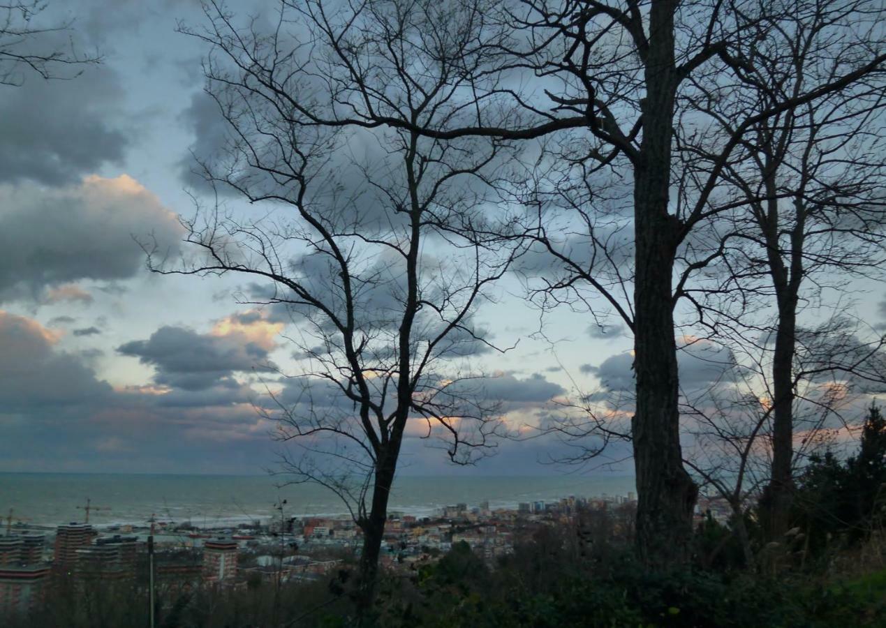 Ginko Apartment Pesaro Bagian luar foto